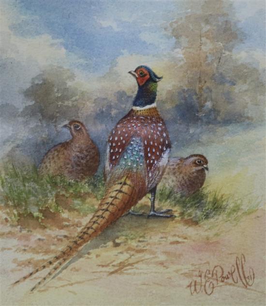 Two watercolours of pheasants by Royal Worcester artists; W E Powell and J Stinton 13 x 11 and 11 x 15cm.